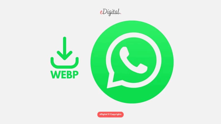 WhatsApp Web & Desktop Apps (Official Method)